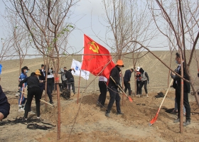 播下生態(tài)文明的種子，高鐵開發(fā)集團(tuán)攜手共建企業(yè)積極開展春季義務(wù)植樹活動(dòng)