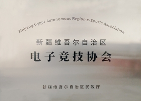 新疆維吾爾自治區(qū)電子競技協(xié)會(huì)